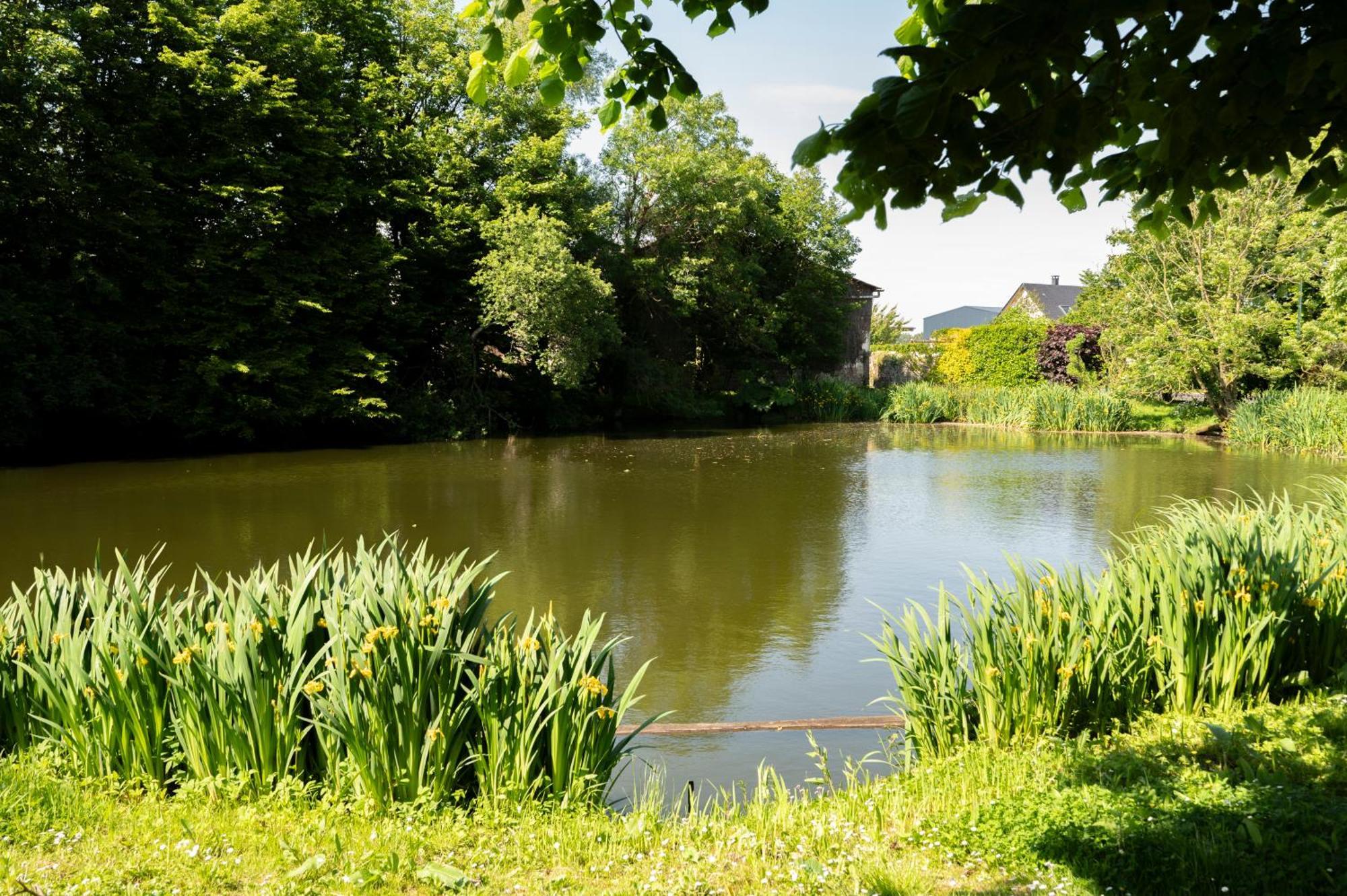 Gite L'Orangerie Du Chateau D'Émalleville Kültér fotó